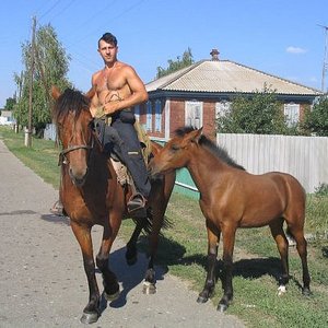 Image for 'Igor Rasteriaev'