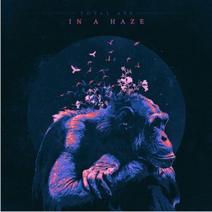 Image for 'In a Haze'