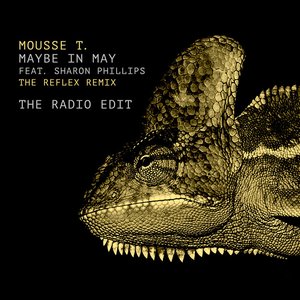 Maybe in May (The Reflex Radio Edit) - Single