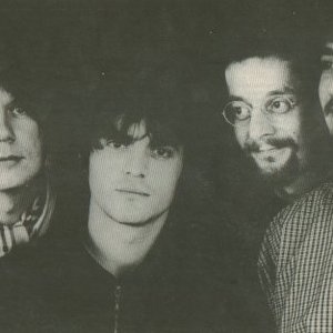 The Seahorses 的头像