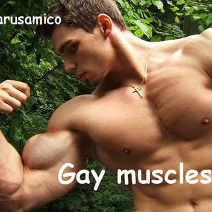 Gay muscles