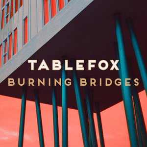 Burning Bridges - Single