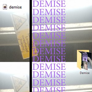 Demise