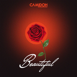 Artwork for Beautiful