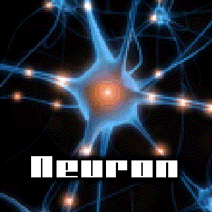 Neuron