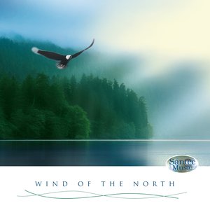 Wind of the North: Irish Celtic Music (Stimulating, for a Positive, Optimistic Mood)