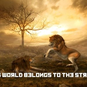 Image for 'This World Belongs To The Strong'