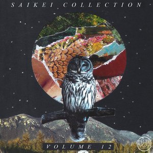 Saikei Collection Vol. 12