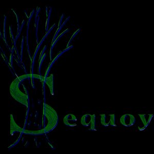 Sequoya 的头像