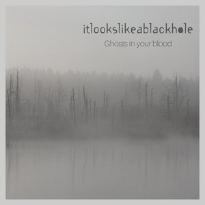 Ghosts in Your Blood