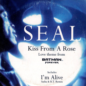 Seal - Kiss from a Rose - Zortam Music