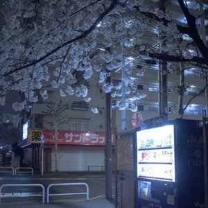 osaka