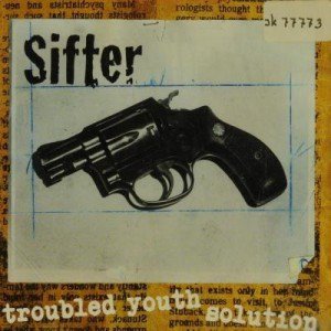 troubled youth solution