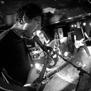 Volt photo provided by Last.fm