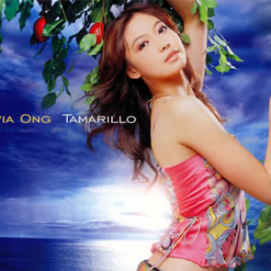Tamarillo cover