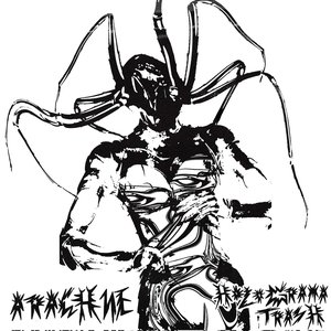 Arachne