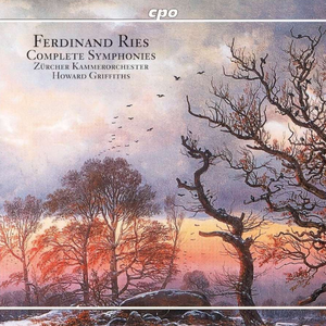 Symphony No. 1 in D major, Op. 23: I. Adagio - Allegro molto vivace cover