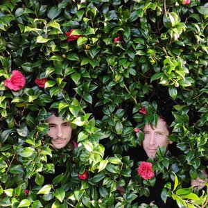 Avatar for Zebra Centauri