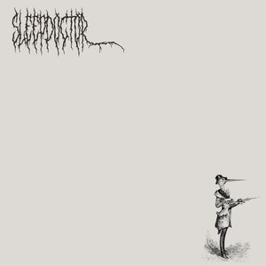 The Arctic Vol. 2: Sleepdoctor.
