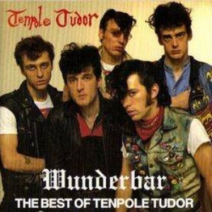 Wunderbar: The Best of Tenpole Tudor