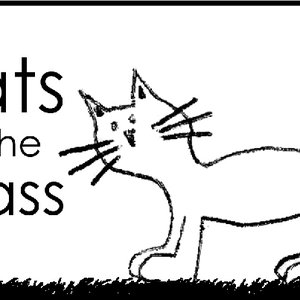 Cats In the Grass 的头像