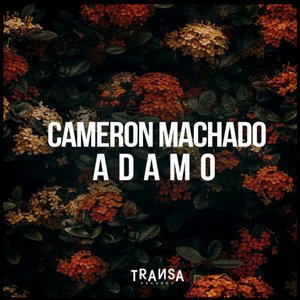 Adamo