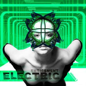 Electric Enticement Vol. 1