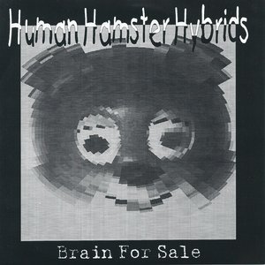 Brain For Sale