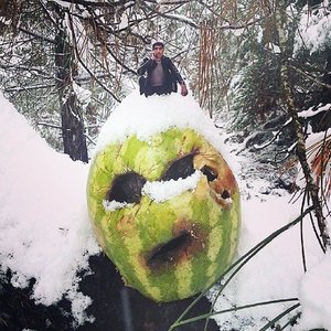 Avatar di Поле Пропилено