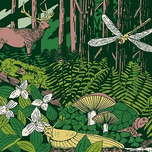 An Eight Out of Nine