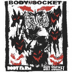 BODY // SOCKET (Split with Dry Socket)