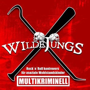 Multikriminell