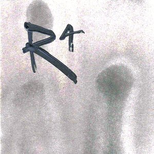 R4 的头像