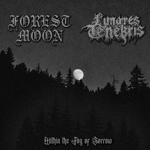 Within The Fog of Sorrow