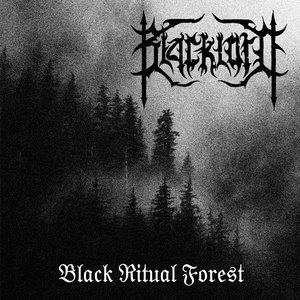Black Ritual Forest