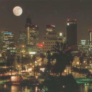 Palm City