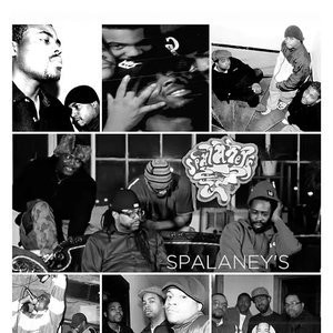 Avatar for Spalaney's