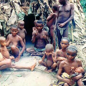 Pygmées AKA のアバター