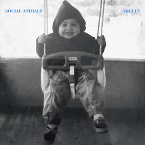 Adults - Single