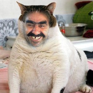 Avatar for Яссон Верблюдин