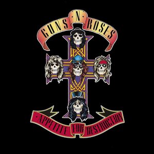Special Edition (Appetite For Destruction / Use Your Illusion I & II)