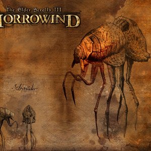 Image pour 'Morrowind soundtrack'