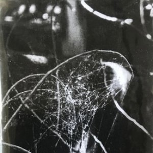 Statues / Rope Theory