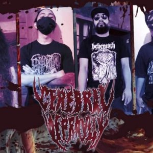Avatar for Cerebral Depravity