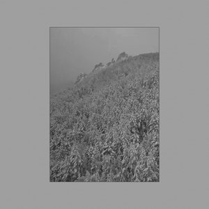 “Vinterstjerne”的封面