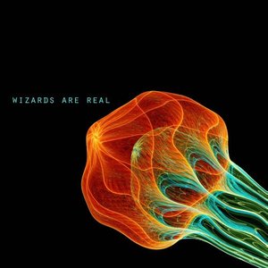 Avatar for Wizards Are Real