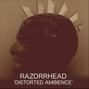 Distorted Ambience