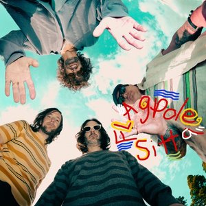 Flagpole Sitta - Single