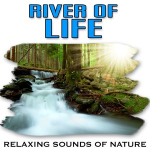 River of Life (Nature Sounds)