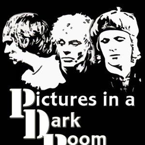 Pictures In A Dark Room 的头像